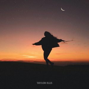 奥雷十大巅峰作品
